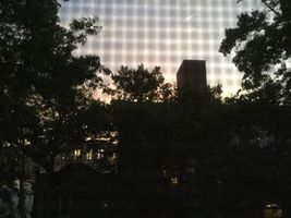 How much do you know about nature? How much do you know about nature?