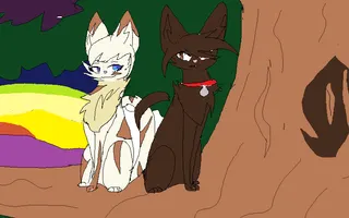 What time in the Warrior Cat books do you live in? What time in the Warrior Cat books do you live in?