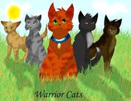 Are you a true warrior cat fan? Are you a true warrior cat fan?