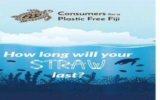 How long does your straw last?