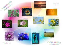 Discover Your Complementary Color Personality Discover Your Complementary Color Personality