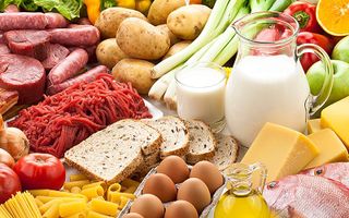 Can I Guess What Type Of Food Is Your Favourite? Can I Guess What Type Of Food Is Your Favourite?
