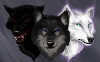 What kind of wolf are you? (3) What kind of wolf are you? (3)
