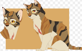 Warrior Cats Quiz- How well do you know Leafstar? Warrior Cats Quiz- How well do you know Leafstar?