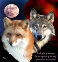 are you more fox or wolf? :) are you more fox or wolf? :)