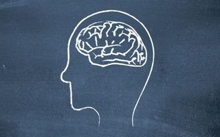 Intelligence quiz (3) Intelligence quiz (3)