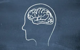 Intelligence quiz (3) Intelligence quiz (3)