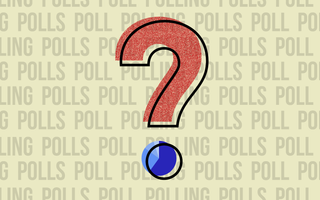 poll quiz poll quiz