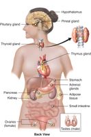 Physiology Quiz Physiology Quiz