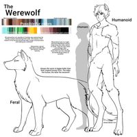 How Well Do You Know Werewolves? How Well Do You Know Werewolves?