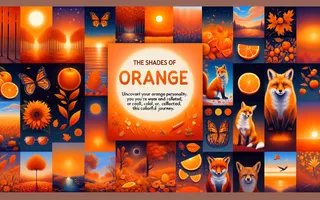 The Shades of Orange