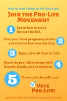 Where do you fit in the pro-life movement?