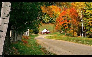 Which New England state should you live in? Which New England state should you live in?