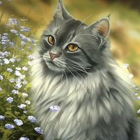 How much do you really know about warrior cats? (1) How much do you really know about warrior cats? (1)
