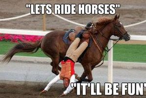 how well do you know about horses? how well do you know about horses?