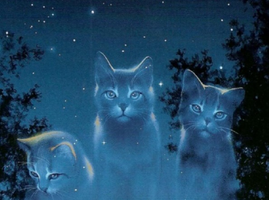 Warrior Cats Quiz- What Clan Are You From? Warrior Cats Quiz- What Clan Are You From?