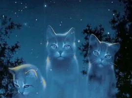 Warrior Cats Quiz- What Clan Are You From? Warrior Cats Quiz- What Clan Are You From?