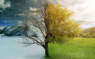 Summer or Winter? Would you rather this or that! Summer or Winter? Would you rather this or that!