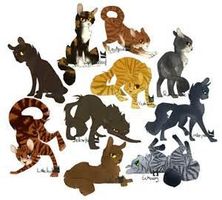What Medicine cat are you? What Medicine cat are you?