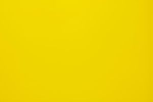 Which Yellow Color Are You? Which Yellow Color Are You?