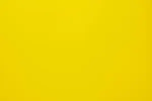 Which Yellow Color Are You?