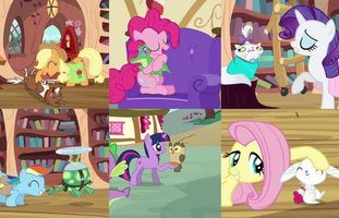 Which MLP Pet are you? Which MLP Pet are you?