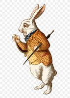 Which Rabbit Personality Are You? Which Rabbit Personality Are You?