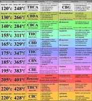 Cannabis Quiz Challenge Cannabis Quiz Challenge