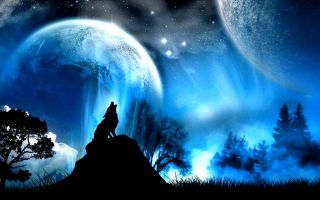 Which fantasy world should you live in? Which fantasy world should you live in?