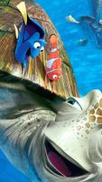 Discover Your Marine Life Personality Discover Your Marine Life Personality