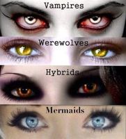 Which supernatural creature are you mixed with? Which supernatural creature are you mixed with?