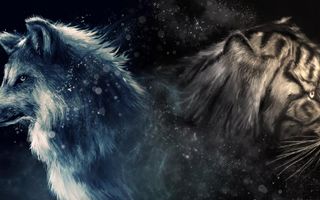 Are you a tiger or a wolf? Are you a tiger or a wolf?
