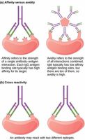 Challenging Immunology Quiz Challenging Immunology Quiz