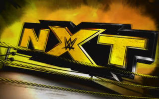 What WWE wrestler are you? What WWE wrestler are you?