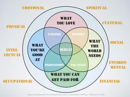 What's Your Lifestyle Type?