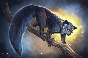 Find Your Endangered Spirit Find Your Endangered Spirit
