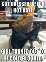 Would I date you? (2) (girls only please!) Would I date you? (2) (girls only please!)