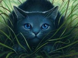 what are your warrior cat kits, mate, clan and name? what are your warrior cat kits, mate, clan and name?