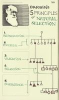 Biology Basics Biology Basics