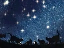 How would you go to Starclan? How would you go to Starclan?
