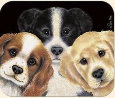 What is your puppy breed? What is your puppy breed?