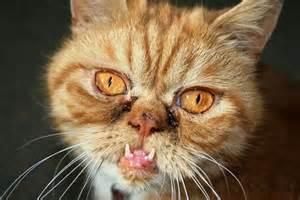 Are You Ugly? Bonus Question Answered: Does He / She Like You? Are You Ugly? Bonus Question Answered: Does He / She Like You?