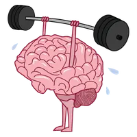 Challenge your Elliptical Training IQ!