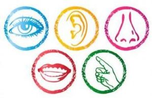 Which sense are you? Which sense are you?
