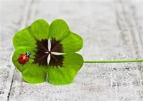 How lucky are you? (1) How lucky are you? (1)