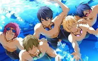 Which guy are you like from free? Which guy are you like from free?