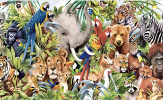 Your true soul animal (not really) Your true soul animal (not really)