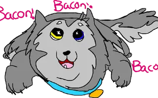 Which Wolfie form are you? Which Wolfie form are you?