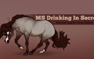 What's Your Horse Personality? What's Your Horse Personality?