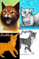 Which One of The Four Are You? Which One of The Four Are You?
